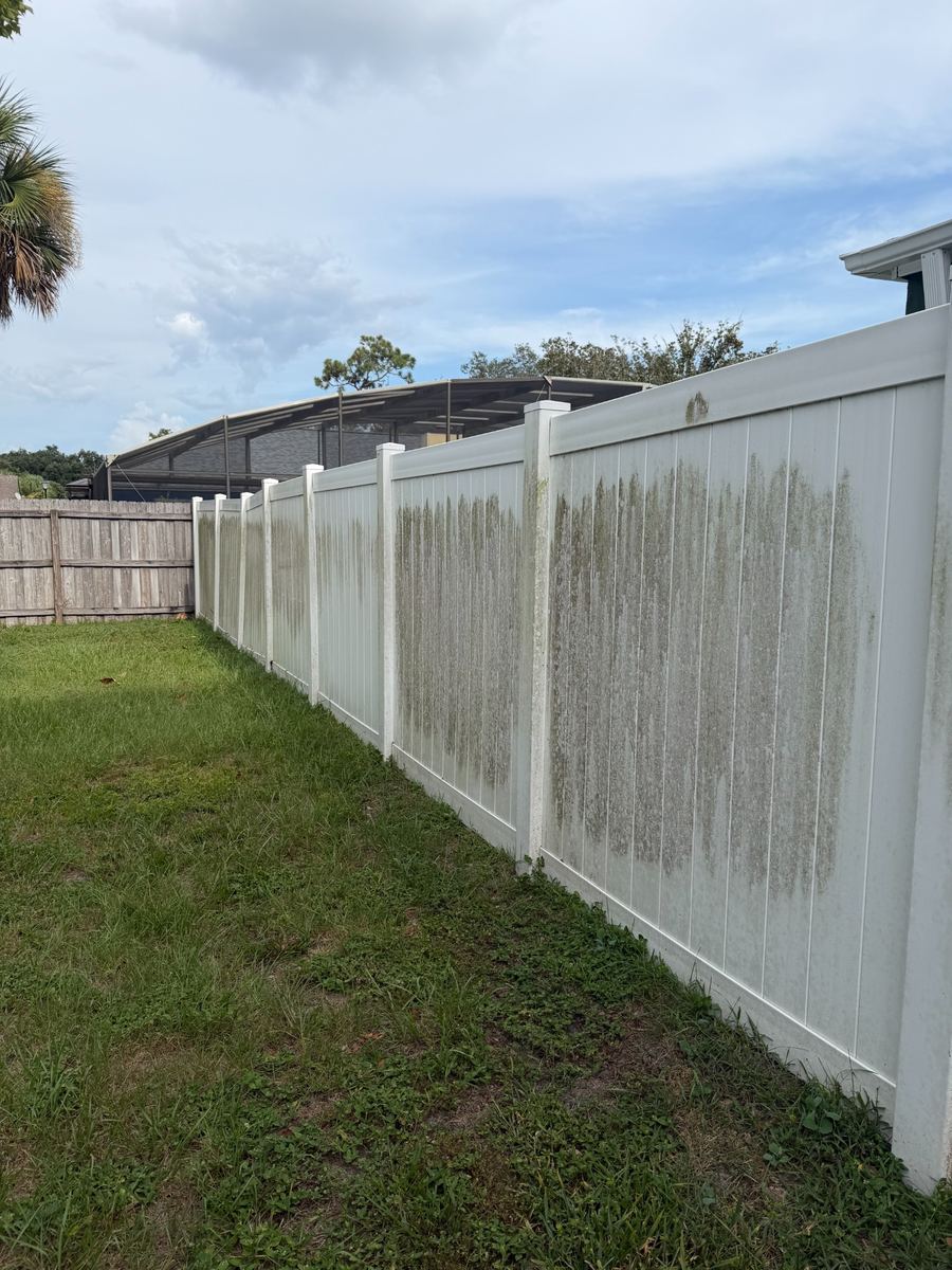 Before: white vinyl privacy fence with heavy dark organic buildup across multiple panels